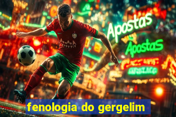 fenologia do gergelim